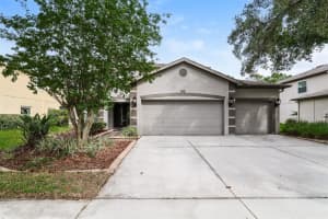 14831 HERONGLEN DRIVE, LITHIA, FL 33547 - MLS#MFRTB8513410