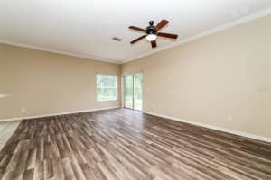 14831 HERONGLEN DRIVE, LITHIA, FL 33547 - MLS#MFRTB8513410