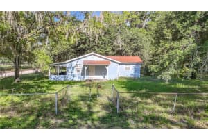 1007 HAWTHORN STREET, ZEPHYRHILLS, FL 33540 - MLS#MFRTB8513439