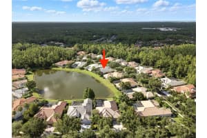 17210 BROADOAK DRIVE, TAMPA, FL 33647 - MLS#MFRTB8513440