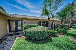100 ARBOR LANE, OLDSMAR, FL 34677 - MLS#MFRTB8513463