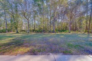 4405 CONNERY COURT, PALM HARBOR, FL 34685 - MLS#MFRTB8513521