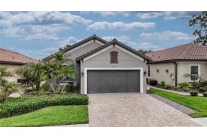 20111 Sorano Hill Pl, TAMPA 20111 Sorano Hill Pl, TAMPA