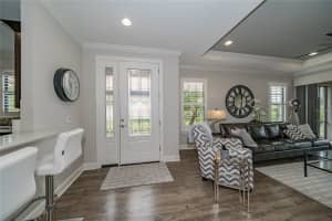 20111 SORANO HILL PLACE, TAMPA, FL 33647 - MLS#MFRTB8513527