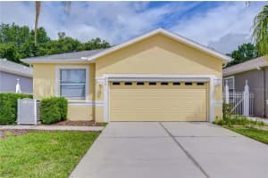 8049 Sanguinelli Rd, LAND O LAKES 8049 Sanguinelli Rd, LAND O LAKES