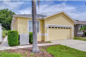 8049 SANGUINELLI ROAD, LAND O LAKES, FL 34637 - MLS#MFRTB8513529