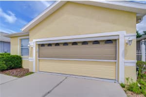 8049 SANGUINELLI ROAD, LAND O LAKES, FL 34637 - MLS#MFRTB8513529