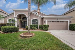 20017 PAINTING NATURE LANE, TAMPA, FL 33647 - MLS#MFRTB8513573