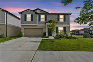 22203 CALISTO WAY, LAND O LAKES, FL 34637 - MLS#MFRTB8513575