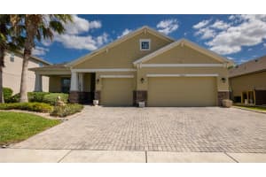 22564 CHEROKEE ROSE PLACE, LAND O LAKES, FL 34639 - MLS#MFRTB8513598