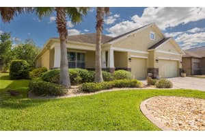 22564 CHEROKEE ROSE PLACE, LAND O LAKES, FL 34639 - MLS#MFRTB8513598