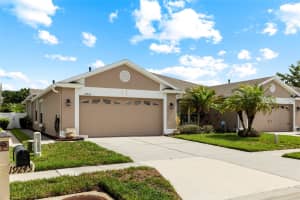 19245 BARRED OWL COURT, LAND O LAKES, FL 34638 - MLS#MFRTB8513623