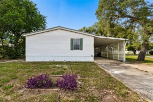 37913 PALMETTO PALM DRIVE, ZEPHYRHILLS, FL 33542 - MLS#MFRTB8513640