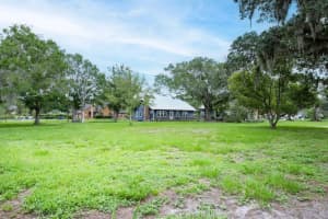 17321 SIMMONS ROAD, LUTZ, FL 33548 - MLS#MFRTB8513644