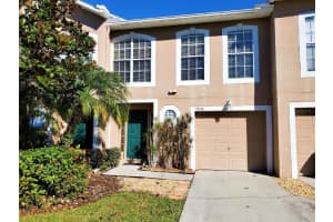 9870 Ashburn Lake Dr, TAMPA 9870 Ashburn Lake Dr, TAMPA