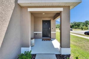 16894 DELIA STREET, WIMAUMA, FL 33598 - MLS#MFRTB8513695
