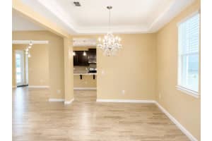 10708 PLANER PICKET DRIVE, RIVERVIEW, FL 33569 - MLS#MFRTB8513762