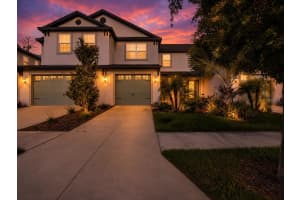 11443 CAY SPRUCE WAY, SAN ANTONIO, FL 33576 - MLS#MFRTB8513846