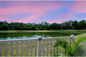 12116 MIRACLE MILE DRIVE, RIVERVIEW, FL 33578 - MLS#MFRTB8513856
