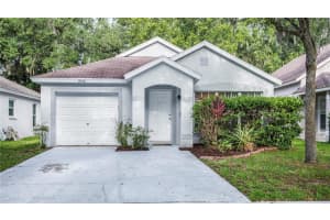 15120 Deer Meadow Dr, LUTZ 15120 Deer Meadow Dr, LUTZ