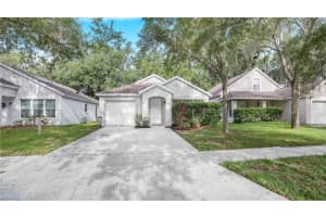 15120 DEER MEADOW DRIVE, LUTZ, FL 33559 - MLS#MFRTB8513861