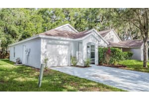 15120 DEER MEADOW DRIVE, LUTZ, FL 33559 - MLS#MFRTB8513861