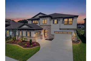 12962 Steed Trace Loop, LITHIA