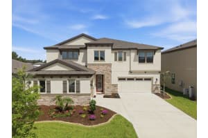 12962 STEED TRACE LOOP, LITHIA, FL 33547 - MLS#MFRTB8513875