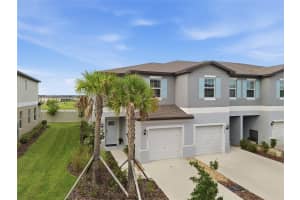 32041 POWDERPUFF MIMOSA DRIVE, SAN ANTONIO, FL 33576 - MLS#MFRTB8513908