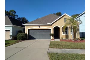 11514 Quiet Forest Dr, TAMPA