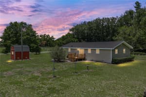 34240 APPALOOSA TRAIL, WESLEY CHAPEL, FL 33543 - MLS#MFRTB8513970