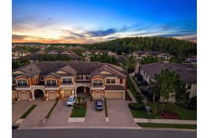30040 SOUTHWELL LANE, WESLEY CHAPEL, FL 33543 - MLS#MFRTB8514013