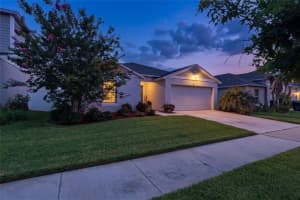 12818 BENT TWIG DRIVE, RIVERVIEW, FL 33579 - MLS#MFRTB8514015