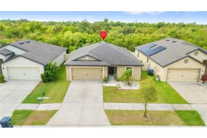 1717 CHATHAM GREEN CIRCLE, RUSKIN, FL 33570 - MLS#MFRTB8514041