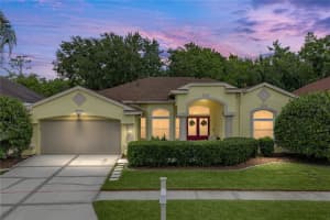 1808 Tangledvine Dr, WESLEY CHAPEL 1808 Tangledvine Dr, WESLEY CHAPEL