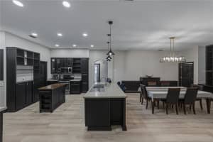 1808 TANGLEDVINE DRIVE, WESLEY CHAPEL, FL 33543 - MLS#MFRTB8514047
