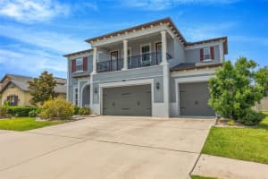 31973 MARDELLE PLACE, WESLEY CHAPEL, FL 33543 - MLS#MFRTB8514052