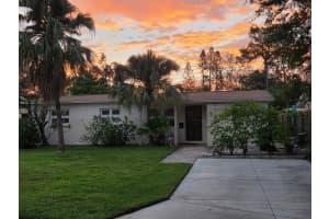 3919 HARRISBURG STREET, ST PETERSBURG, FL 33703 - MLS#MFRTB8514077