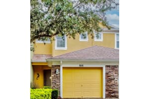 8116 Stone Path Way, TAMPA 8116 Stone Path Way, TAMPA