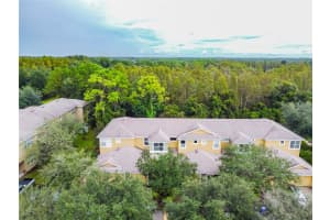 8116 STONE PATH WAY, TAMPA, FL 33647 - MLS#MFRTB8514101