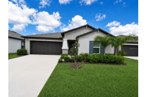 9685 BRANCHING SHIP TRACE, WESLEY CHAPEL, FL 33545 - MLS#MFRTB8514102
