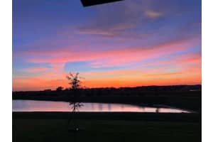 9685 BRANCHING SHIP TRACE, WESLEY CHAPEL, FL 33545 - MLS#MFRTB8514102