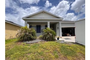 18217 FALLING PINE NEEDLE LANE, LAND O LAKES, FL 34638 - MLS#MFRTB8514129