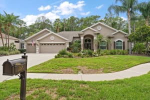 3926 SAYWOOD COURT, PALM HARBOR, FL 34685 - MLS#MFRTB8514156