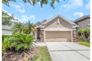 11243 BLACKSMITH DRIVE, TAMPA, FL 33626 - MLS#MFRTB8514161