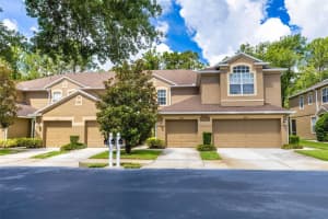 18958 Duquesne Dr, TAMPA
