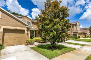 18958 DUQUESNE DRIVE, TAMPA, FL 33647 - MLS#MFRTB8514184