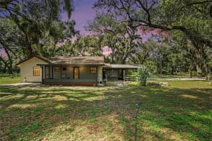 231 DUKE SIMMS ROAD, BRANDON, FL 33511 - MLS#MFRTB8514240