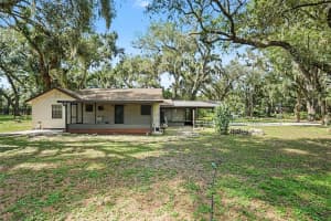 231 DUKE SIMMS ROAD, BRANDON, FL 33511 - MLS#MFRTB8514240