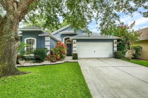 805 Straw Lake Dr, BRANDON 805 Straw Lake Dr, BRANDON